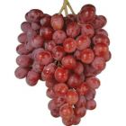 Red Seedless Grape